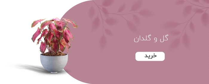 گل و گلدان